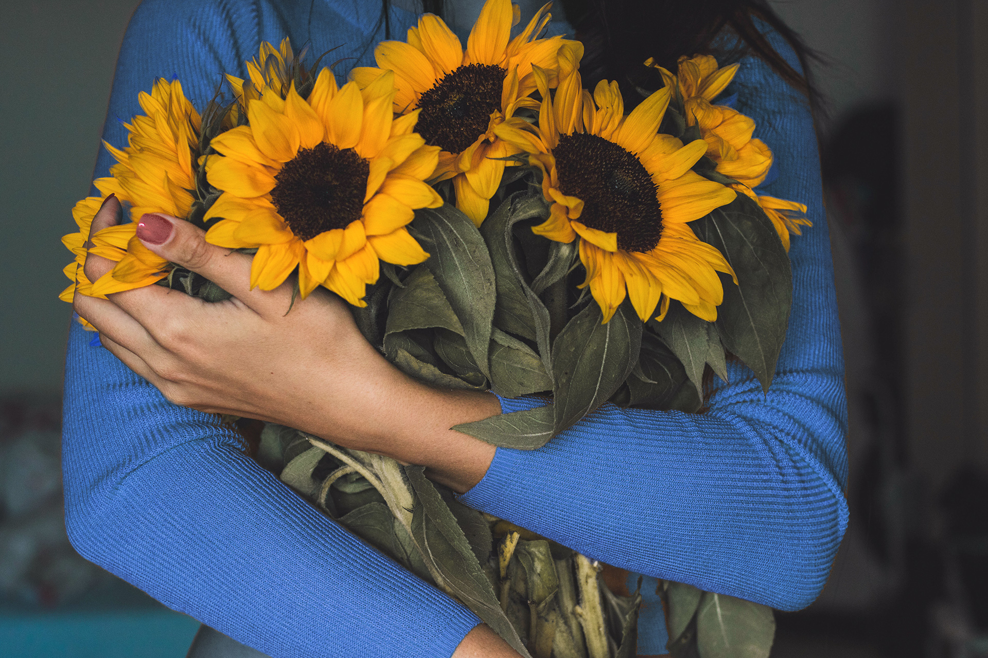 Frau in blauem Pullover umarmt einen Strauß Sonnenblumen