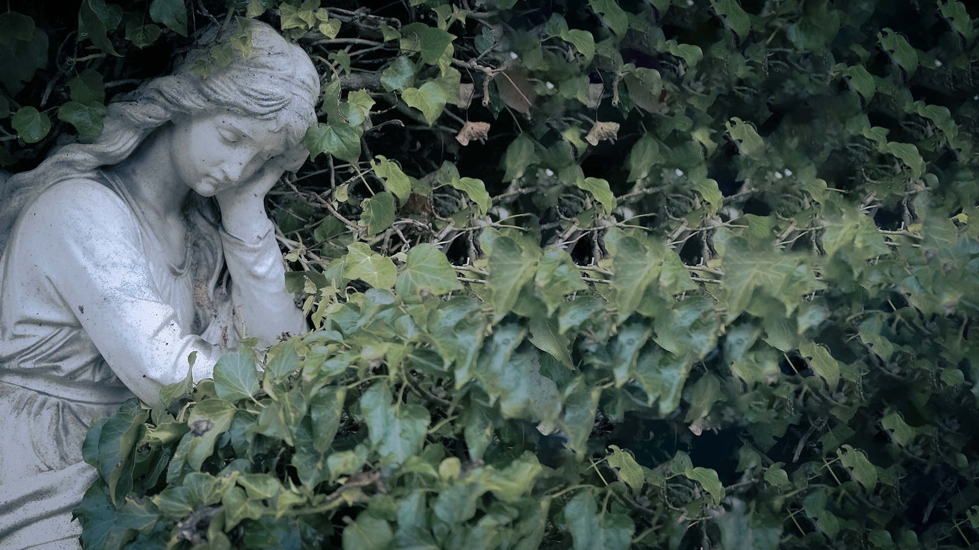 Skulptur eines traurigen Engels im Efeu eingewachsen