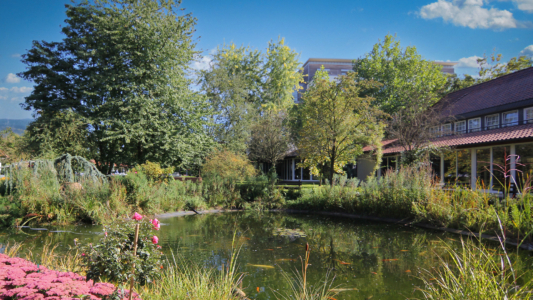 Ein Gartenteich, Bäume und Gebäude der Rehaklinik Bad Oexen