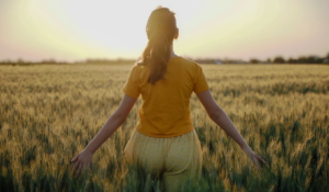 Junge Frau läuft in im Kornfeld der untergehenden Sonne entgegen und berührt mit den Händen die Ähren