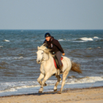 Frau reitet mit Pferd am Strand